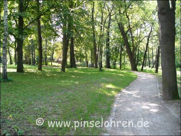 Der Weg durch den Stadtwald zum Tierpark.