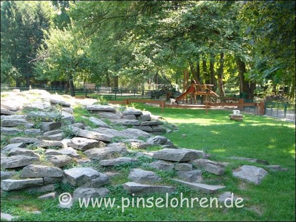 Ein kleiner Rundgang noch im wunderschnen Park.