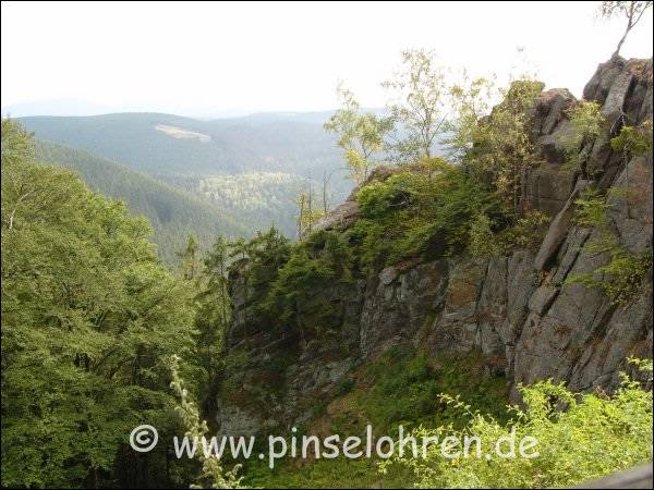 Das Luchsgehege ist nur zu Fu (ca. 45 min) oder Bus zu erreichen. Es liegt an der Rabenklippe.