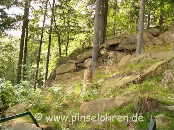 Blick vom Aussichtspunkt ber den Zaun in das Luchsgehege.