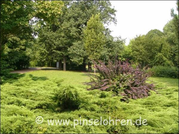 Innen hat man es mit einer kleinen, aber schnen Parklandschaft zu tun.