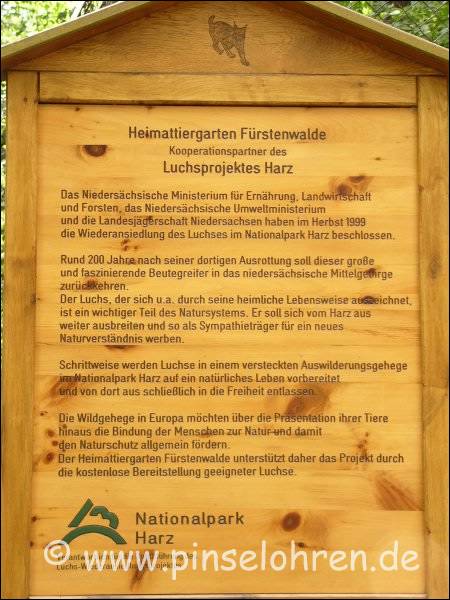 Der Tiergarten Frstenwalde untersttzt den Nationalpark Harz bei der Auswilderung von Luchsen und stellt kostenlos Tiere zur Verfgung.