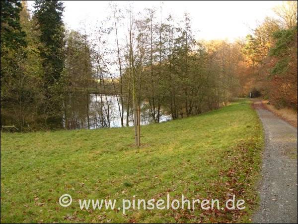 Entlang herrlicher Wiesen, Wald und Teichen. Das Luchsgehege ist rechts vom Weg.