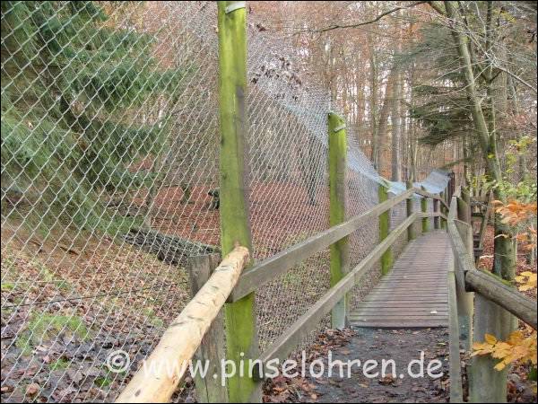 Durch das Gitter kann man gut sehen - und schne Aufnahmen machen.