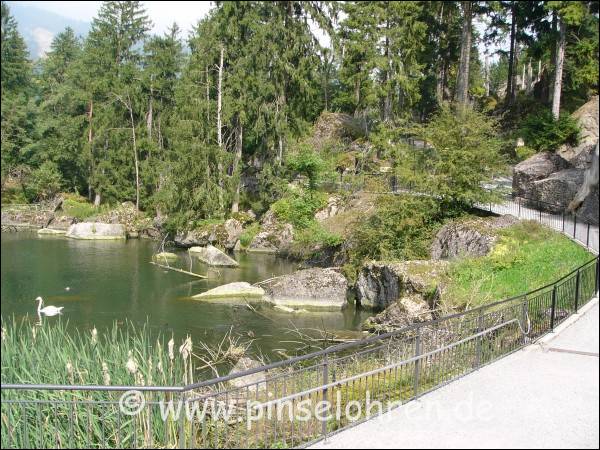 Im Tierpark, auf dem Weg zu den Luchsen ...