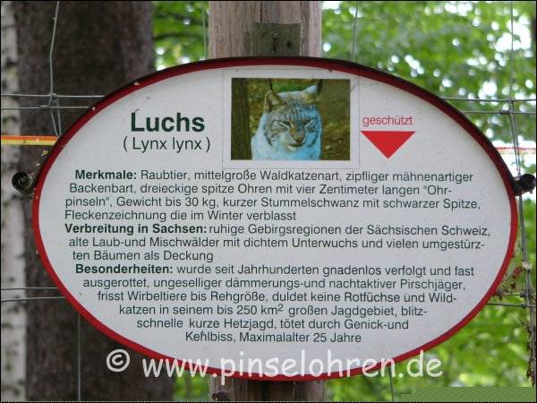 Das Wildgehege liegt auerhalb mitten im Wald nahe dem Schlo Moritzburg. 