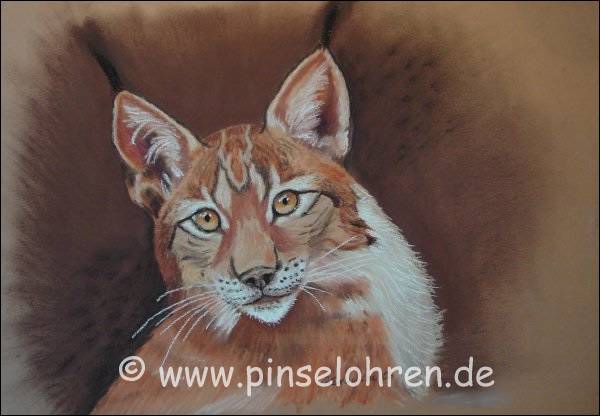 Und so schaut der Luchs von Bild 13 aus, wenn er gezeichnet wird. Vielen Dank an Alexandra, www.bildniss.de 
Dort findet man auch noch andere Tiere und vor allem viele Katzen ...