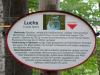 Das Wildgehege liegt außerhalb mitten im Wald nahe dem Schloß Moritzburg.