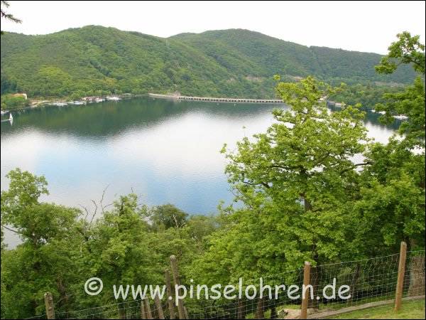 Der Wildpark sdlich von Kassel liegt malerisch im Wald und am Edersee.