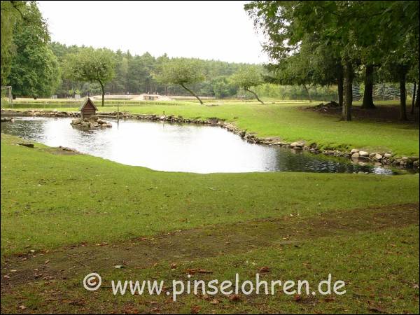 Der Wildpark liegt in einem ausgedehnten Wald- und Wiesengelände.